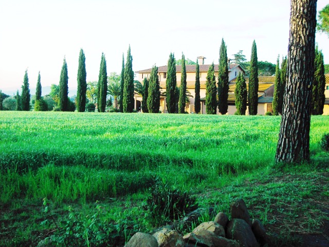 Agriturismo Il Pino