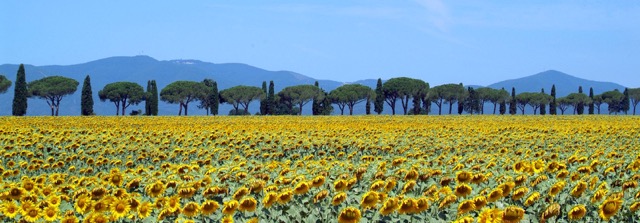 Maremma